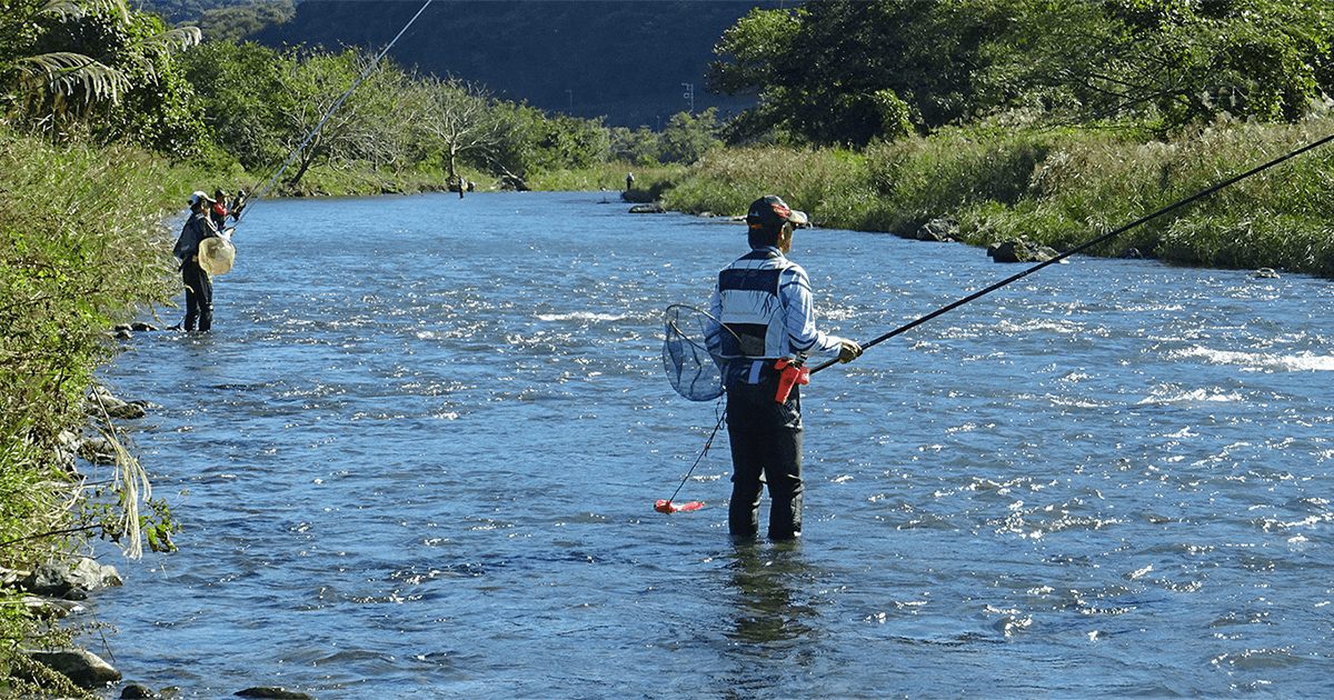 相模川漁業協同組合連合会