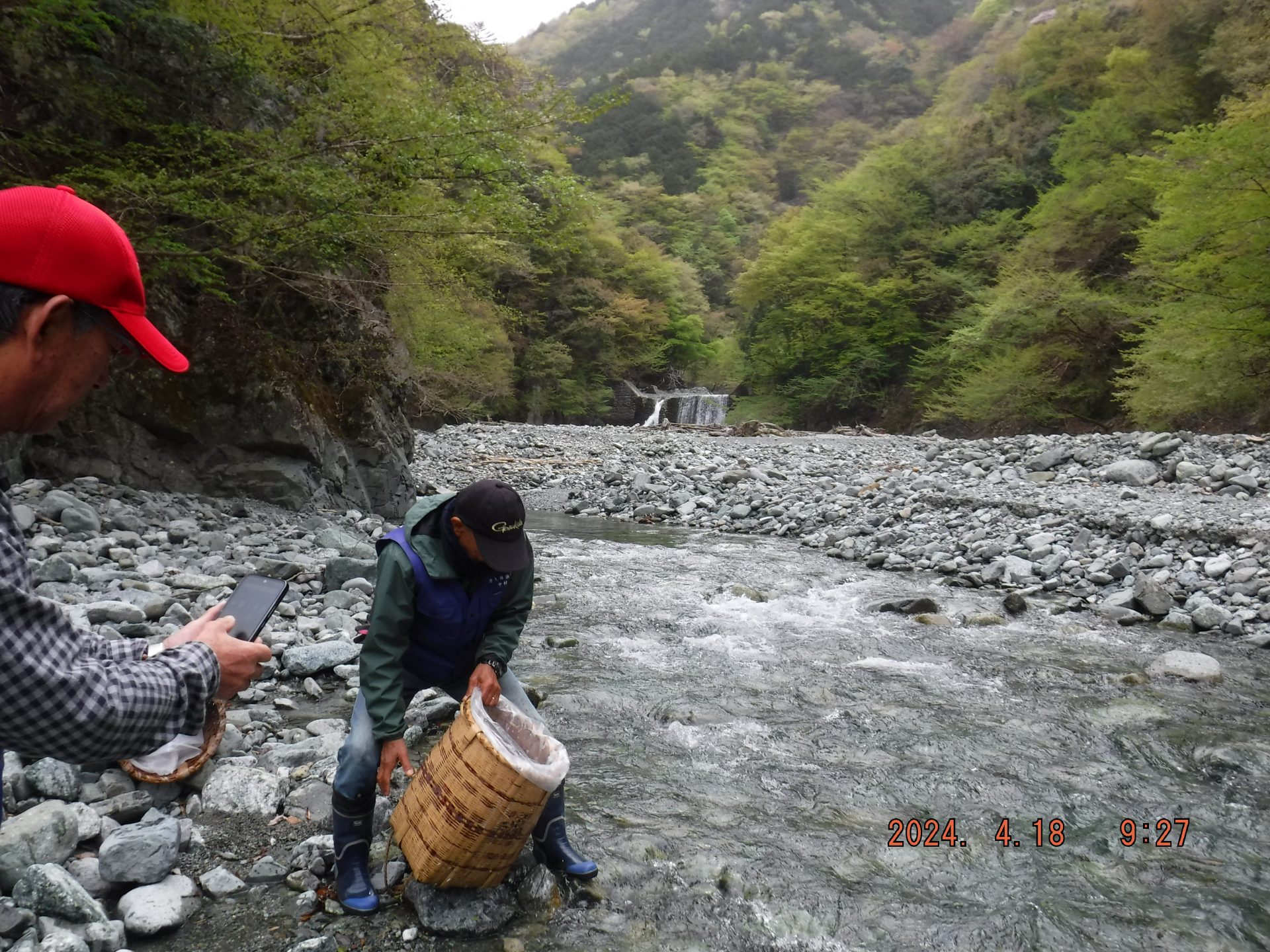 渓流魚　放流