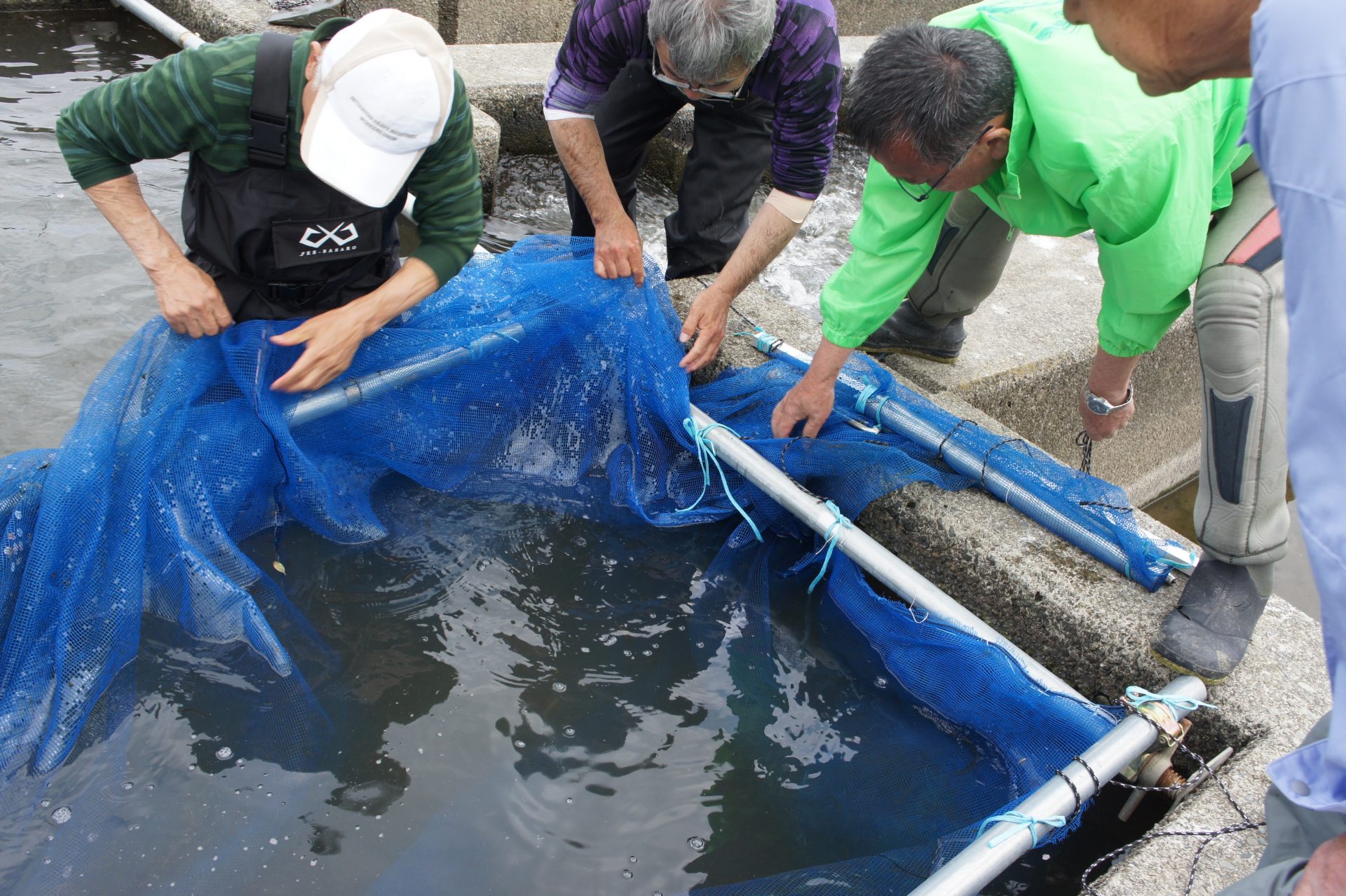 あゆ放流