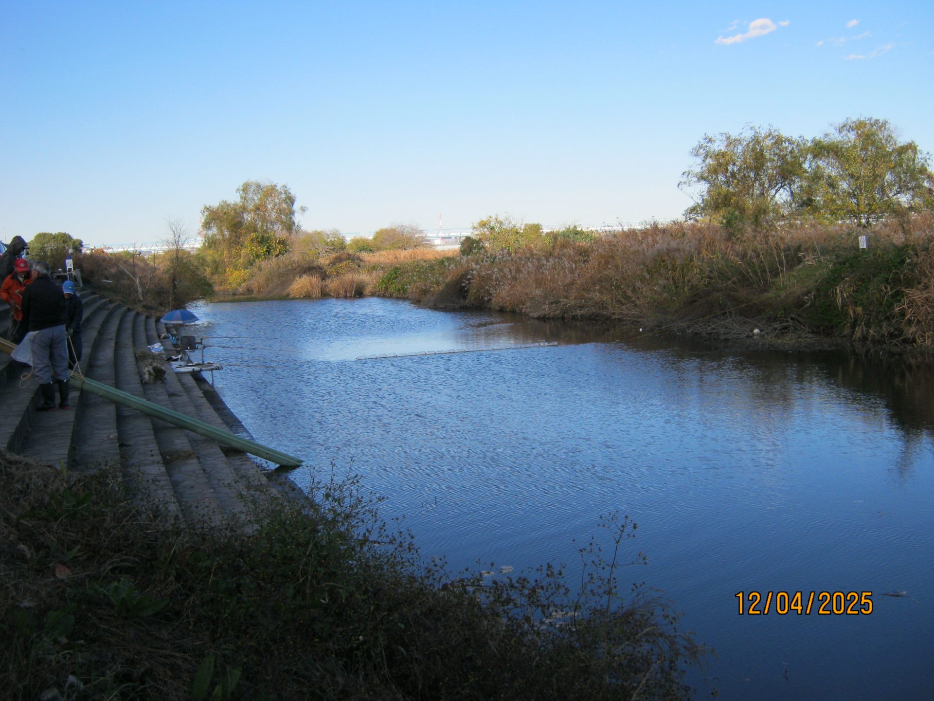 へらぶな釣り場にふな放流