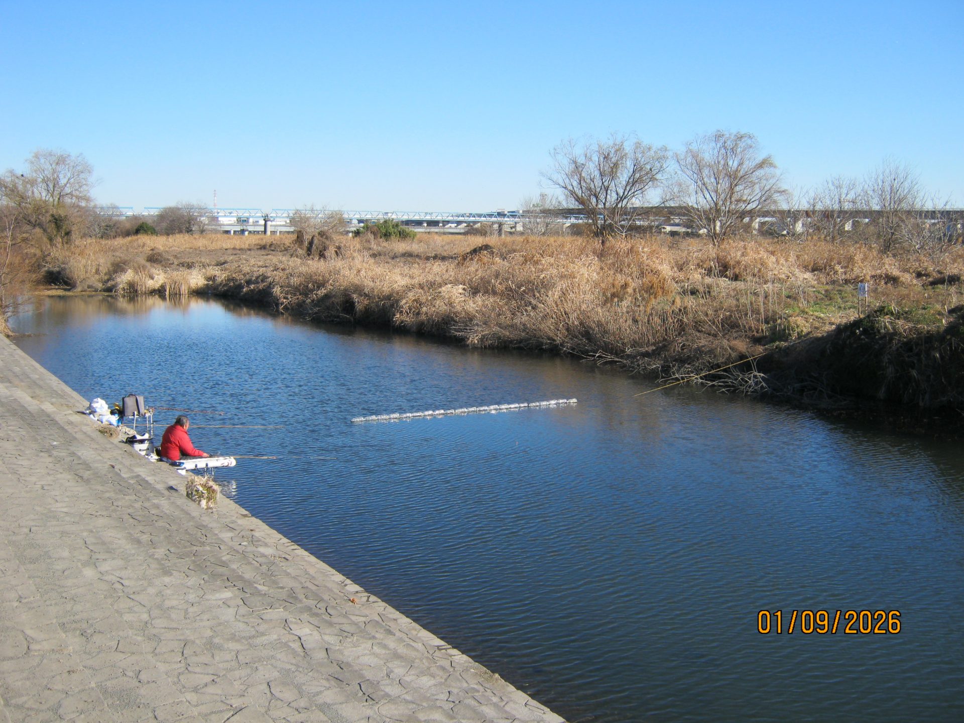 へらぶな釣り場にふな放流