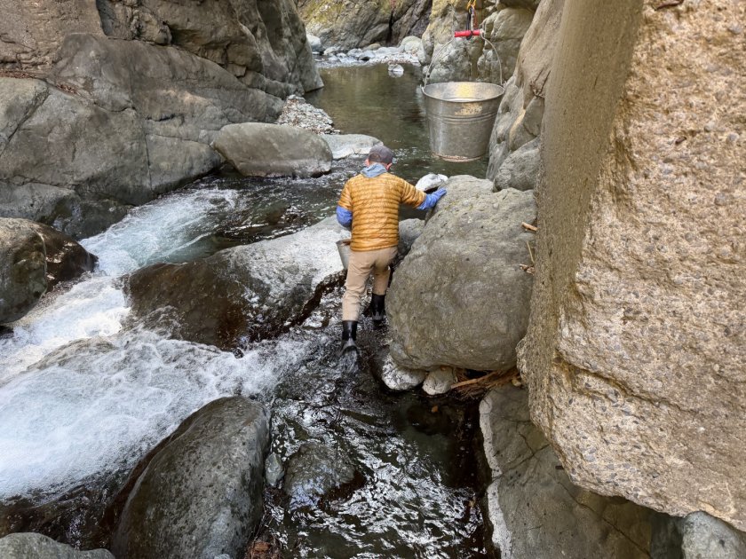 渓流魚　放流