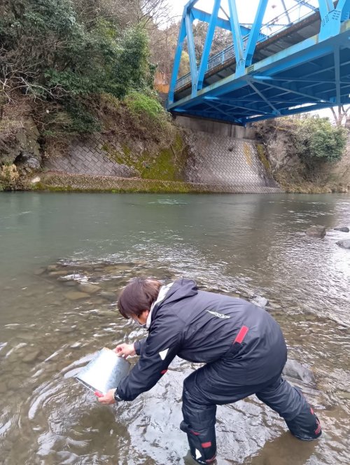 渓流魚　放流