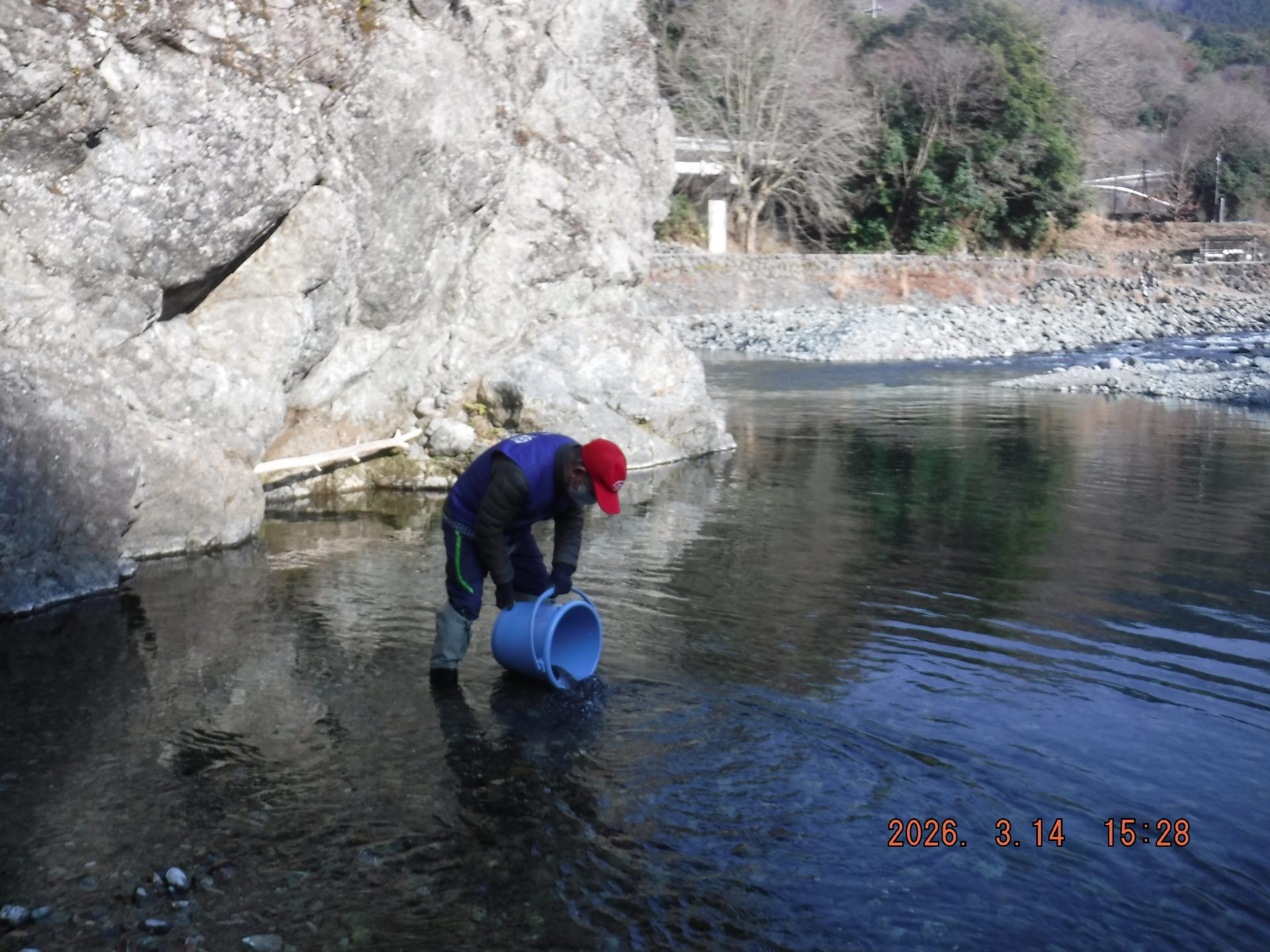 渓流魚　放流
