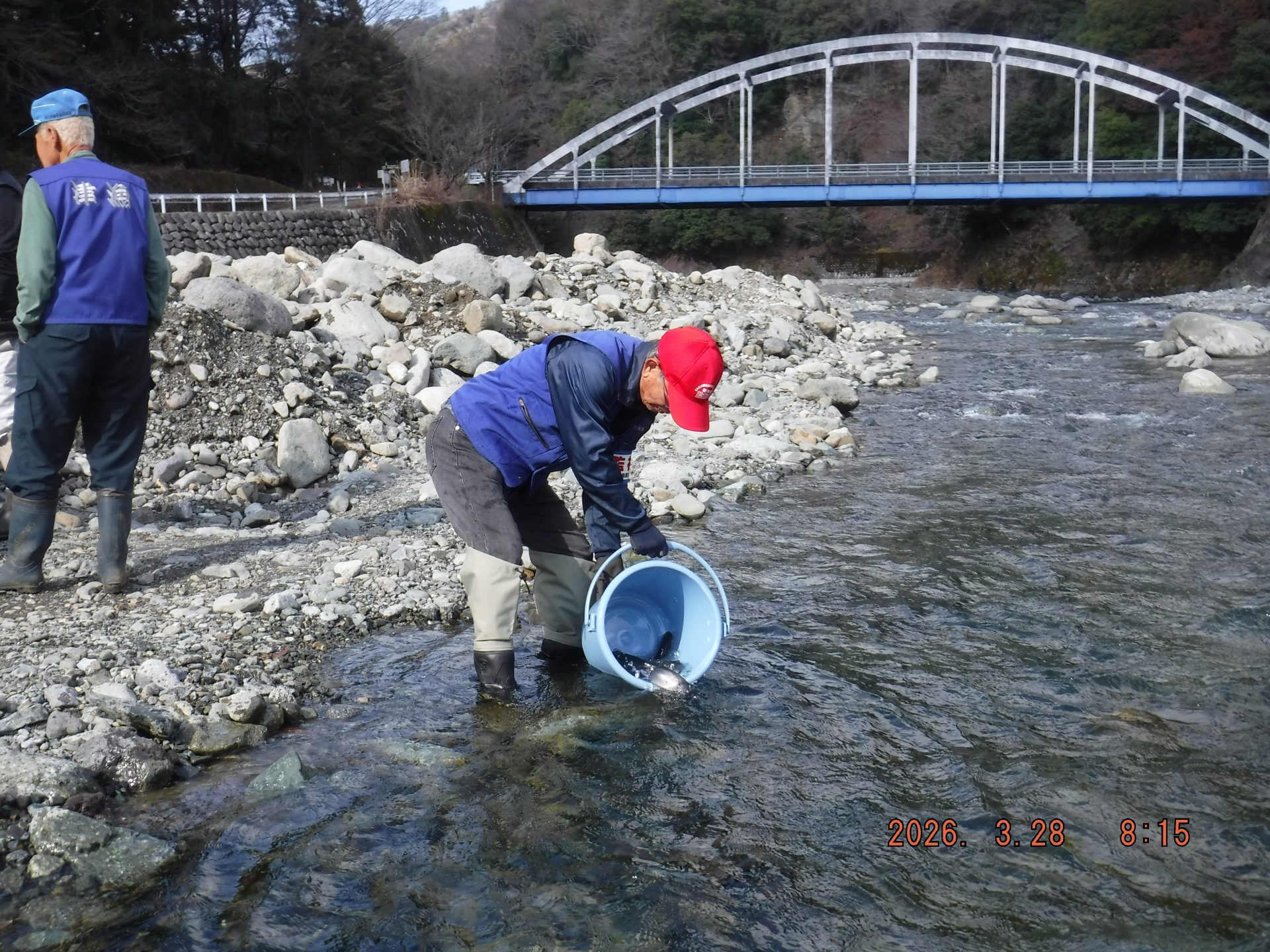 渓流魚　放流