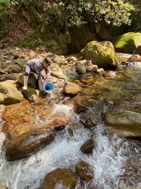 渓流魚　放流