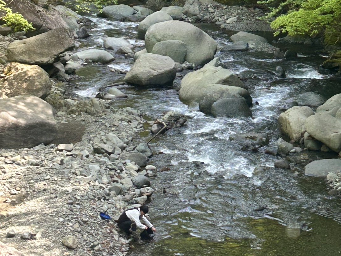 渓流魚放流