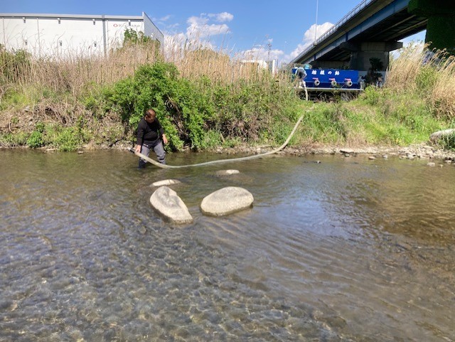 あゆ放流